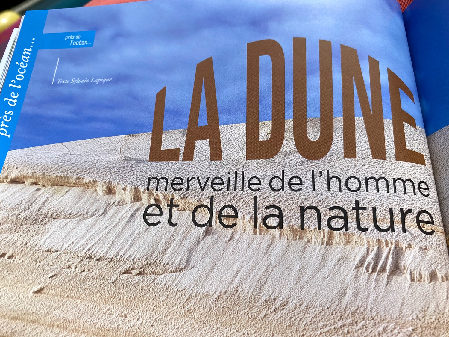 Terres des Landes en Gascogne - La dune landaise