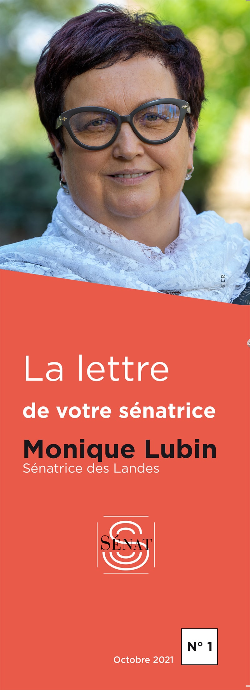 Mise en page de la lettre de la sénatrice Monique Lubin